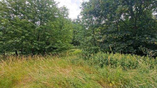 Foto - Grundst&uuml;ck zur Miete in Ahlsdorf