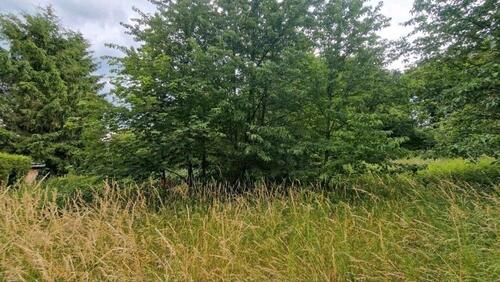 Foto - Grundst&uuml;ck in Ahlsdorf