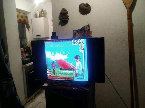 Foto - Etagenwohnung in Dresden zur Miete