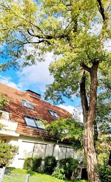 Foto - 3 Zimmer Wohnung in Mainz Bretzenheim