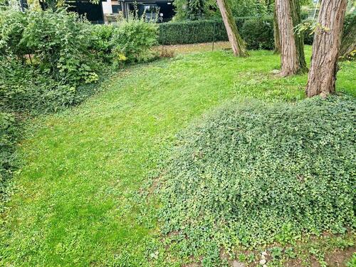 Foto - Etagenwohnung zur Miete in Mainz