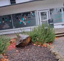 Ladenlokal - 1.000,00 EUR Kaltmiete, in Castrop-Rauxel (PLZ: 44579) Bladenhorst Ladenlokal - 1.000,00 EUR Kaltmiete, in Castrop-Rauxel (PLZ: 44579) Bladenhorst