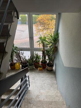 Foto - Schönes 1ZKB-Souterrain-Appartement in MZ Bretzenheim Uninähe