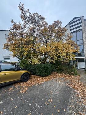 Foto - Etagenwohnung zur Miete in Mainz