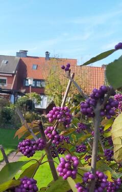 Foto - Einfamilienhaus in Ahaus zum Kaufen