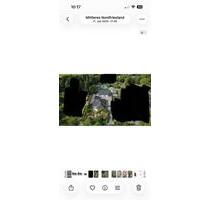 Haus mit Einliegerwohnung , Halle und Biotop in Drelsdorf