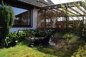 Foto - Einfamilienhaus in Wingst zum Kaufen