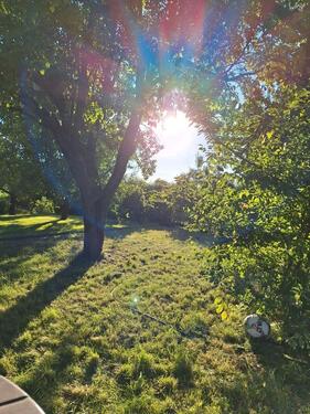 Foto - Garten in Schwedt abzugeben - 500,00&nbsp;EUR Kaltmiete, ca.&nbsp; 0,00&nbsp;m&sup2;