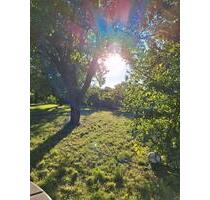 Garten in Schwedt abzugeben - 500,00&nbsp;EUR Kaltmiete, ca.&nbsp; 0,00&nbsp;m&sup2; in Schwedt (Oder) (PLZ: 16303)