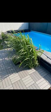 Foto - Einfamilienhaus in Wedemark zum Kaufen