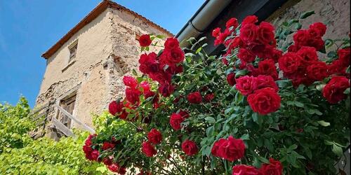 Foto - 2.5 Zimmer Erdgeschoßwohnung zur Miete in Ornbau
