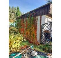 Kleingarten Laube Fürstenwalde - 3.000,00 EUR Kaltmiete, ca.  0,00 m² in Fürstenwalde (Spree) (PLZ: 15517)