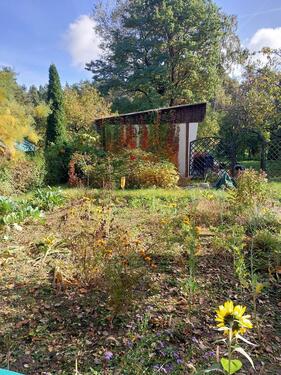 Foto - Grundstück zur Miete in Fürstenwalde (Spree)
