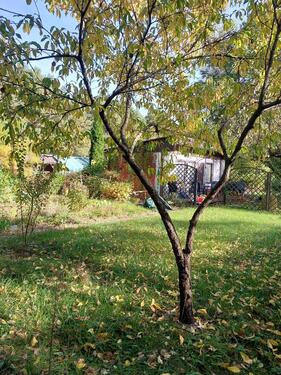 Foto - Grundstück in Fürstenwalde (Spree) zur Miete