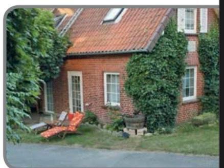 Foto - Wohnung zu vermieten - 780,00 EUR Kaltmiete,