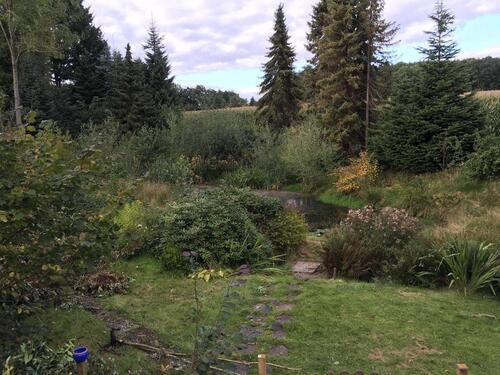 Foto - Einfamilienhaus in Syke zum Kaufen