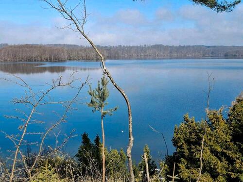 Foto - 3 Zimmer Erdgeschoßwohnung in Pinnow