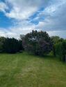 Foto - Garten zu verpachten - 250,00&nbsp;EUR Kaltmiete, ca.&nbsp; 0,00&nbsp;m&sup2;