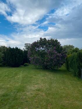 Foto - Garten zu verpachten - 250,00&nbsp;EUR Kaltmiete, ca.&nbsp; 0,00&nbsp;m&sup2;