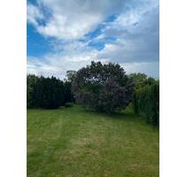 Garten zu verpachten - 200,00&nbsp;EUR Kaltmiete, ca.&nbsp; 0,00&nbsp;m&sup2; in Bad Homburg vor der Höhe (PLZ: 61350) Gonzenheim