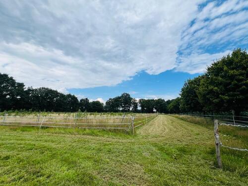 Foto - Einfamilienhaus in Wilsum