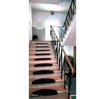 Dahn 1 Zimmer Appartment Wohnung möbl. TV Wlan 250 + NK Garten