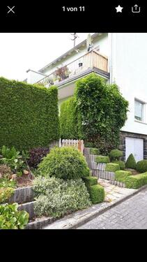 Foto - 3 Zimmer Etagenwohnung in Kirn