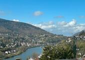 Foto - Doppelhaushälfte mit Einliegerwohnung mit Blick auf den Neckar