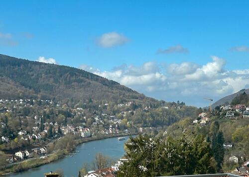 Foto - Doppelhaushälfte mit Einliegerwohnung mit Blick auf den Neckar