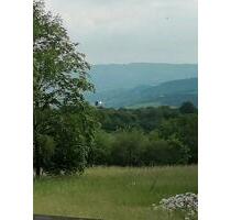 ruhige, gemütliche, teilmöblierte 2 Zi. - DG Wohnung - Dahlheim