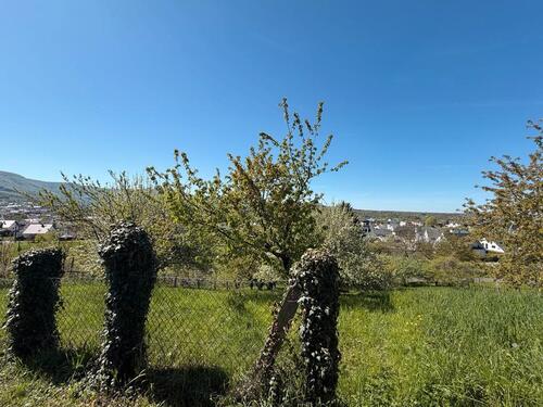 Foto - Gartenanlage - 10.500,00&nbsp;EUR Kaufpreis, ca.&nbsp; 0,00&nbsp;m&sup2;