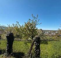 Gartenanlage - 10.500,00&nbsp;EUR Kaufpreis, ca.&nbsp; 0,00&nbsp;m&sup2; in Metzingen (PLZ: 72555)