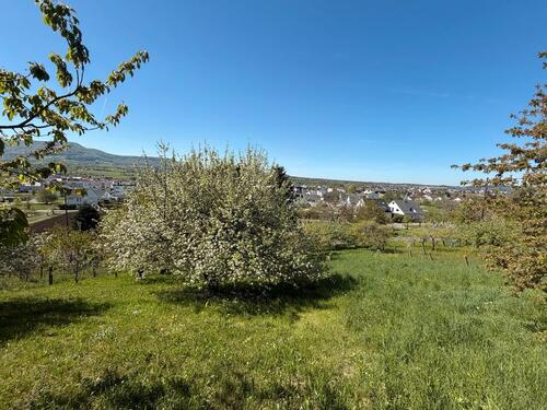 Foto - Grundst&uuml;ck in Metzingen