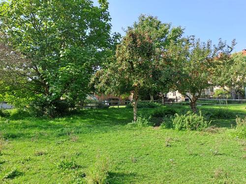 Foto - 1 Zimmer Einfamilienhaus zur Miete in Hameln