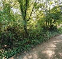 sehr seltene Gelegenheit Freizeit Waldgrundstück - Darmstadt Darmstadt-West