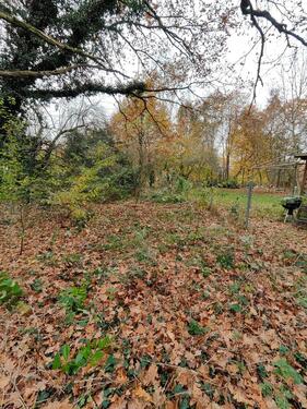 Foto - Grundst&uuml;ck in Darmstadt zur Miete