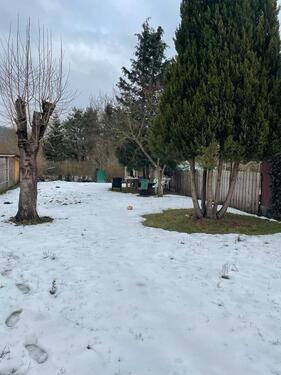 Foto - 8 Zimmer Doppelhaushälfte in Krayenberggemeinde