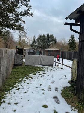 Foto - Doppelhaushälfte in Krayenberggemeinde zum Kaufen