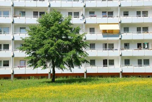 Foto - Etagenwohnung in Chemnitz zur Miete