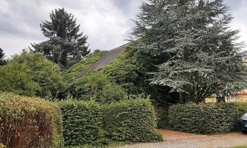 Foto - 6 Zimmer Einfamilienhaus zum Kaufen in Nobitz