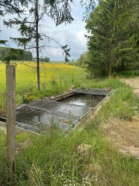 Foto - Freizeit-Erholungsgrundstück inkl. Fischteich-weiher