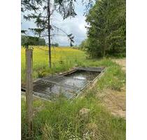 Freizeit-Erholungsgrundstück inkl. Fischteich-weiher - Niederwörresbach