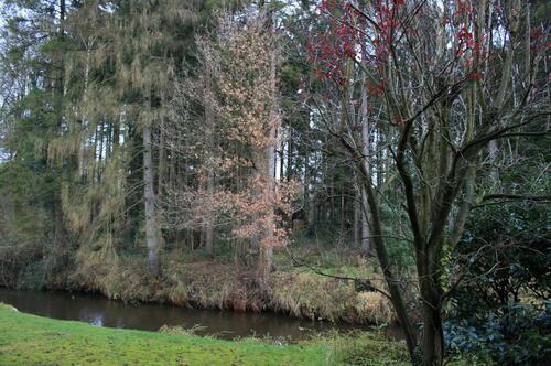 Foto - Etagenwohnung in Bad Fallingbostel zur Miete