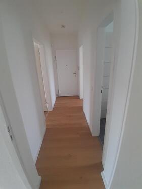 Foto - 3 Zimmer Etagenwohnung in Greifswald