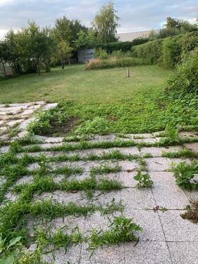Foto - Schrebergarten - 60,00&nbsp;EUR Kaltmiete, ca.&nbsp; 0,00&nbsp;m&sup2;