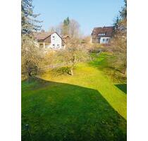 Helle 2-Zimmer-Wohnung in Sulzbach Rosenberg - Sulzbach-Rosenberg