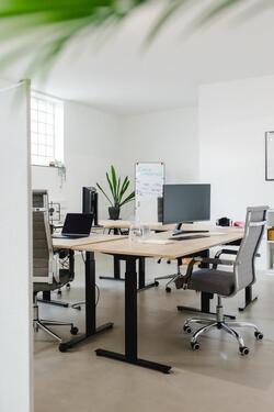 Foto - andere in Würzburg