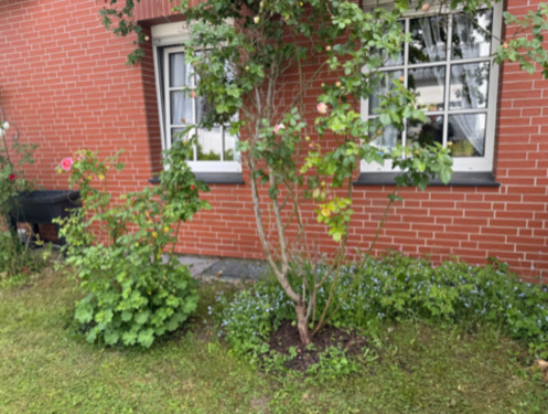 Foto - Einfamilienhaus in Wuppertal