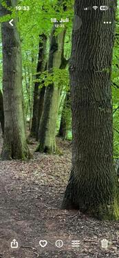 Foto - Grundst&uuml;ck zur Miete in Ramstein-Miesenbach