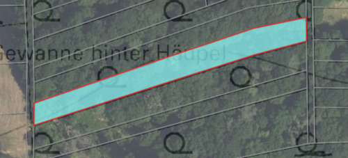 Foto - Waldfläche in Waldmohr - 1.024,00&nbsp;EUR Kaltmiete, ca.&nbsp; 0,00&nbsp;m&sup2;